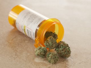 Cannabis Pharmacy Cannabis Pharmacy